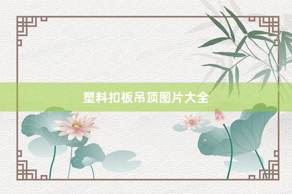 塑料扣板吊顶图片大全